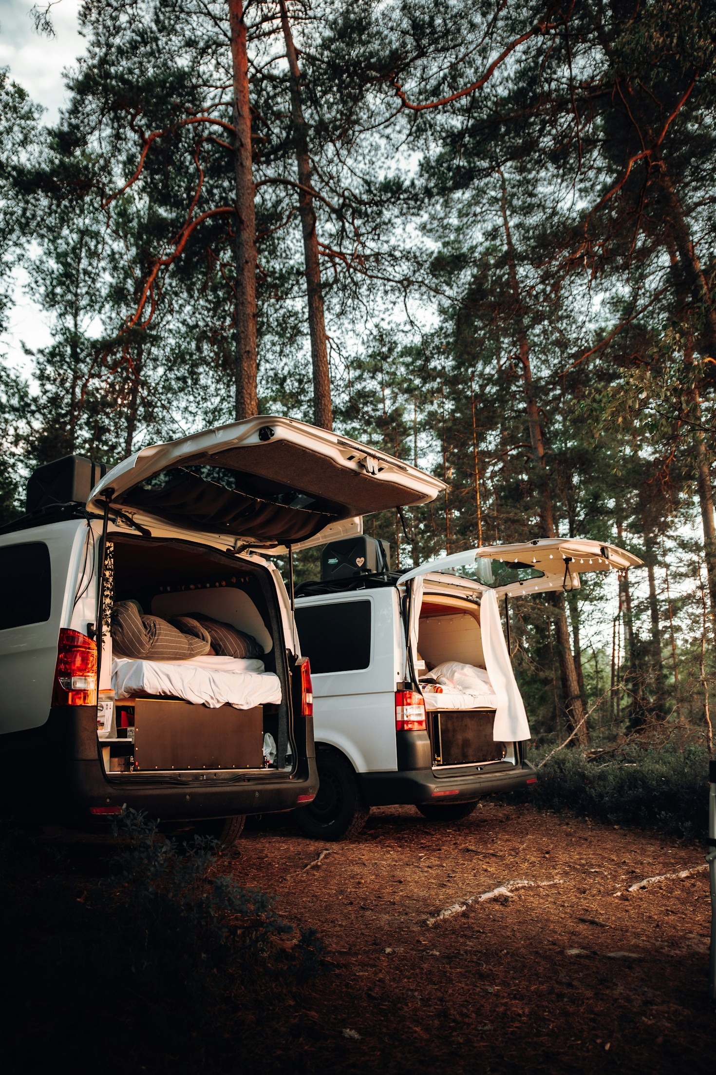 How Small Businesses Are Shaping Eco-Conscious Lifestyles